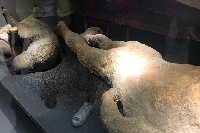 A Day at the Museum - Natural History Museum London - Dinosaur Gallery: The Best First Stop for Everyone