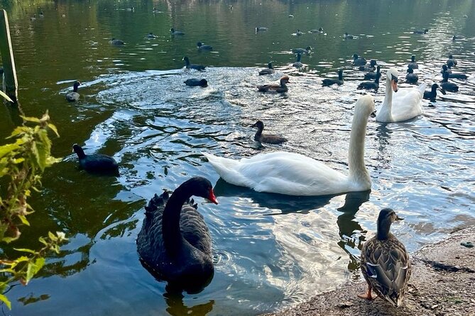 Best of London Tour: Tower of London and Churchill War Rooms - Buckingham Palace and St James’s Park: a lighter mood after the heavy stuff