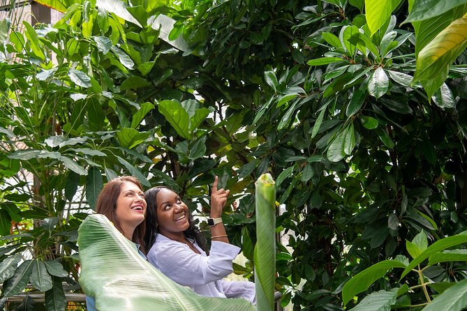 Bombay Sapphire Gin Distillery Tour and Cocktail - Price and timing: is $30.51 worth it?