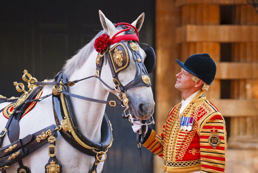Buckingham Palace: The Royal Mews Entrance Ticket - Key points before you go