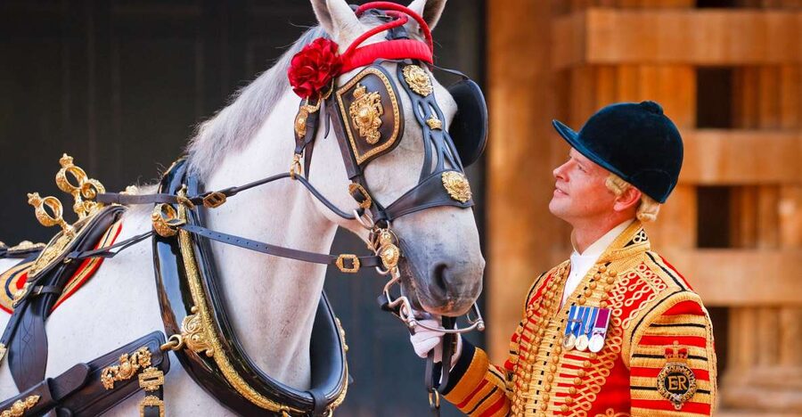 Buckingham Palace: The Royal Mews Entrance Ticket - Royal Mews: a working stables visit inside Buckingham Palace grounds