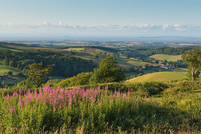 Canterbury & the White Cliffs of Dover Tour (Small-Group) - White Cliffs of Dover: Iconic Views, Wind, and a Walk You Should Plan For