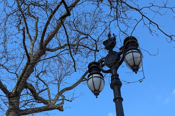 Changing of the Guard Guided Walking Tour & Westminster Landmarks - Price and Value: What $27.15 Buys You in Westminster