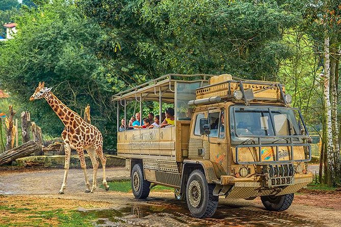 Chessington World of Adventures Resort Admission Ticket - 10 Themed Lands: Fun Variety, Plus a Lot of Walking
