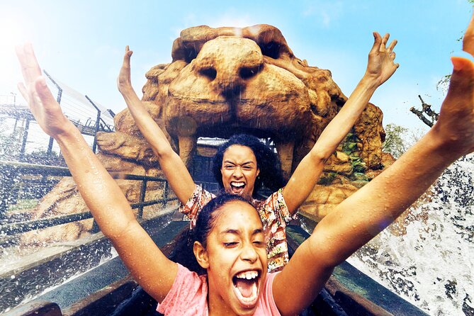 Chessington World of Adventures Resort Admission Ticket - The One-Day Game Plan: How to Work the Park Layout