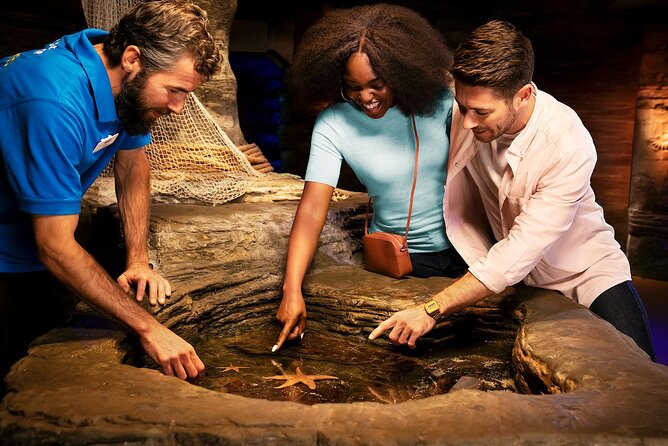 Combo Ticket: Madame Tussauds & SEA LIFE London Aquarium - Value and Pricing: Is $80.13 a Fair Deal?