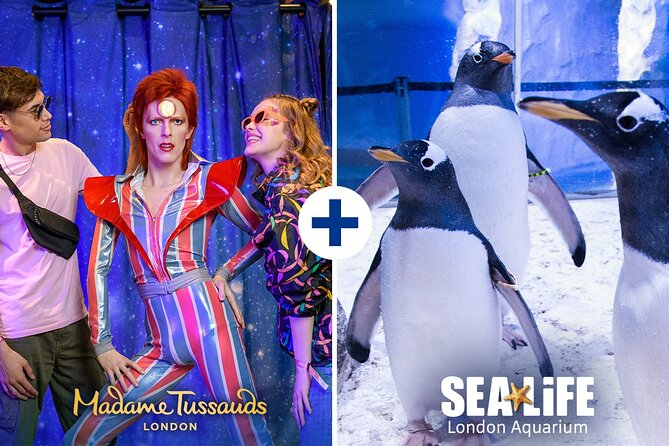 Combo Ticket: Madame Tussauds & SEA LIFE London Aquarium - Who This Combo Ticket Is Best For