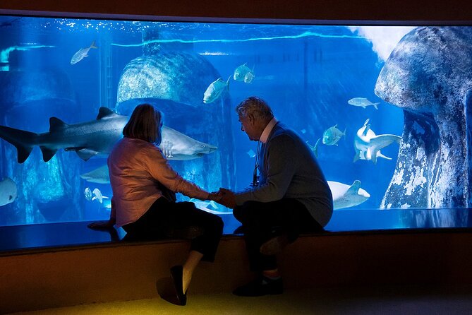 Combo Ticket: Madame Tussauds & SEA LIFE London Aquarium - Madame Tussauds London: Celeb Selfies, 3 Floors, and a Fashion Runway