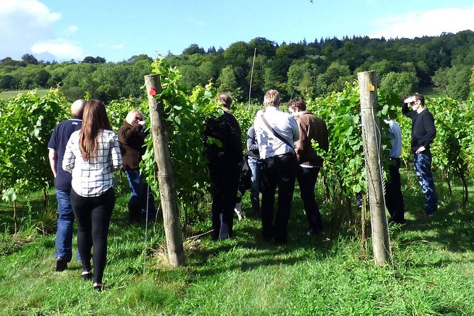 English Wine and Cheese Tour from London - Silcocks Farm Shop and Cafe: Organic cheese-making and 6-and-6 pairings
