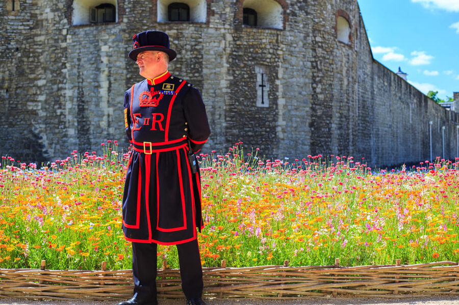 Exclusive Beefeater Meet & Greet at the Tower of London - Photo rules and common practical mistakes