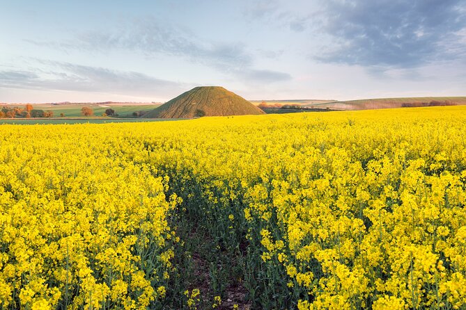 Expert Archaeologist - Private Stonehenge, Bath and Avebury Tour - Private archaeology day from London: the early start that makes it work