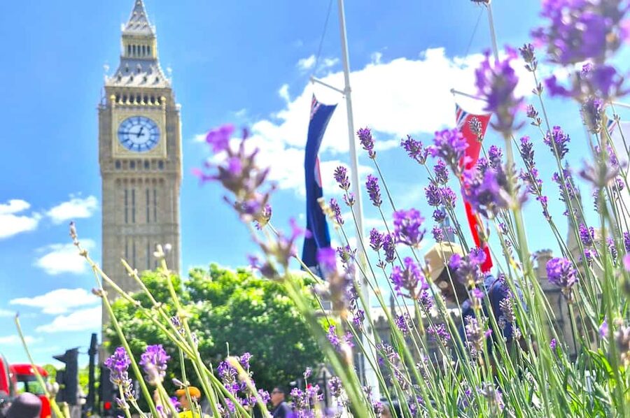 For Russian Speakers: London Tour with a Qualified Guide - Big Ben: why the name and bell details feel oddly personal