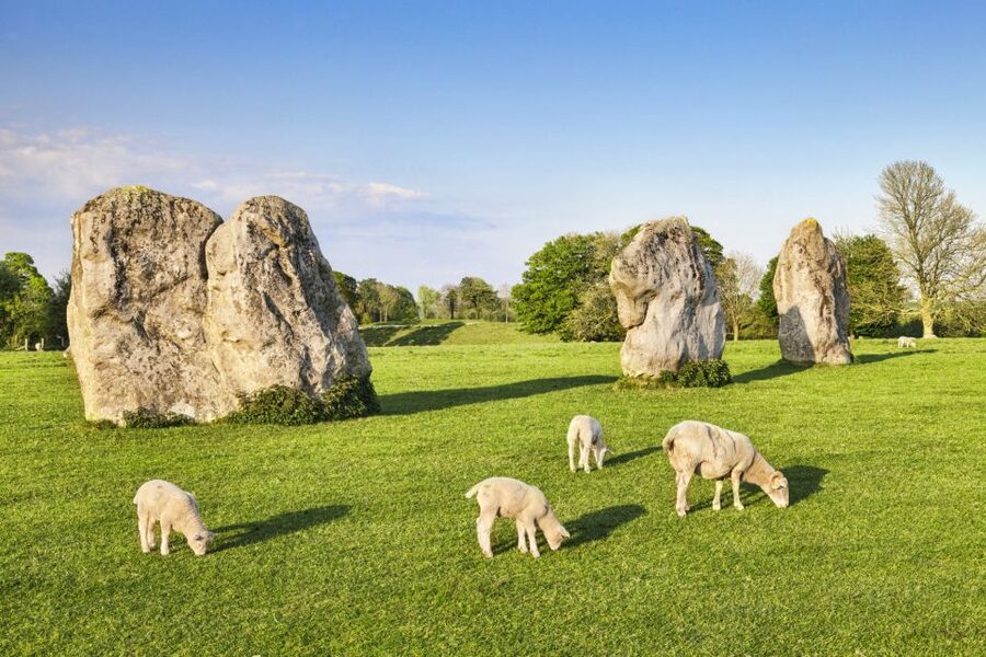 From London: Bath, Avebury and Lacock Village Day Trip - Avebury standing stones: walking the largest prehistoric circle