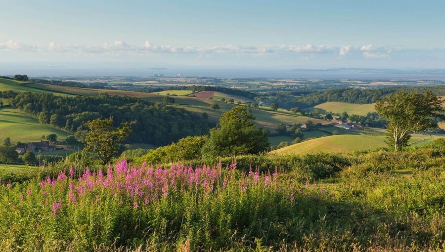 From London: Canterbury & White Cliffs of Dover Tour - Key things I’d circle before you go