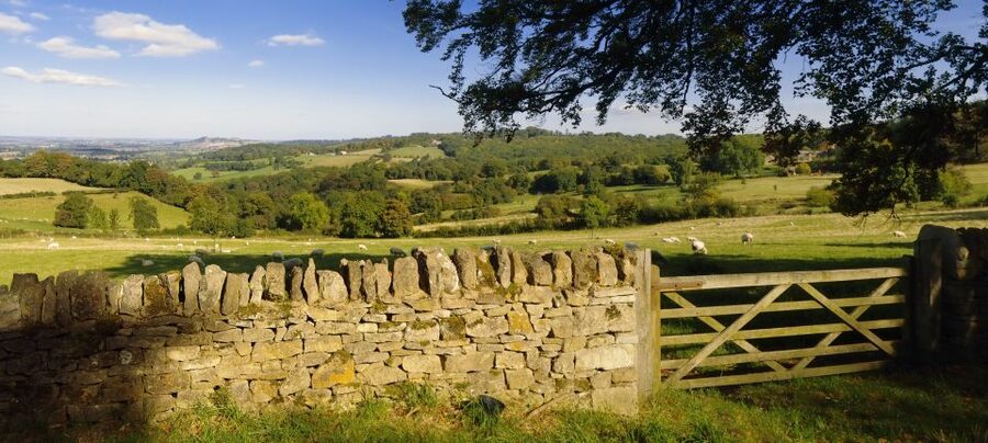 From London: Full-Day Cotswolds Small-Group Tour - What to wear and what to bring for a long walking day