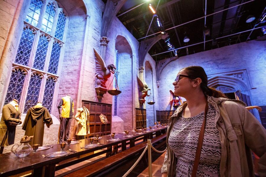 From London: Harry Potter Warner Bros Studio Tour - Seasonal Magic: Dark Arts and Hogwarts in the Snow