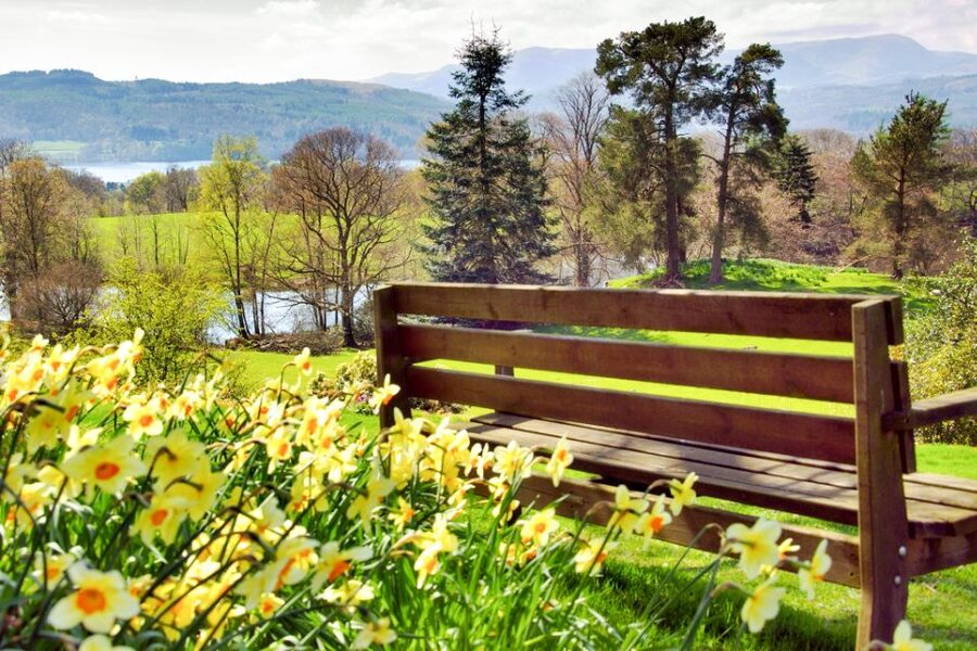 From London: Lake District Tour with Cream Tea & Cruise - Cream tea at Lindeth Howe: the cozy payoff tied to Potter
