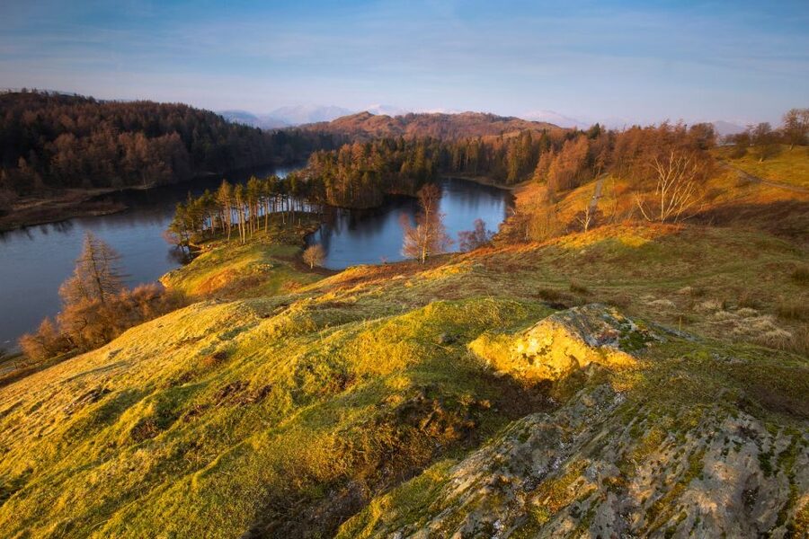 From London: Lake District Tour with Cream Tea & Cruise - Guides and pacing: what you’ll notice once you’re on board