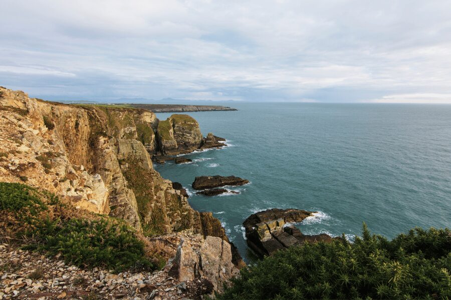 From London: North Wales, Snowdonia & Caernarfon Castle Tour - First Class upgrade: is it worth it for this kind of long day?
