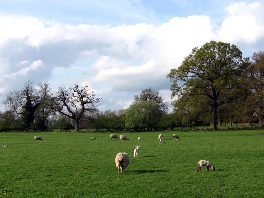 From London: Oxford, Stratford-upon-Avon & Cotswolds Trip - Price and Value: Does $101 Make Sense for This Much Ground?