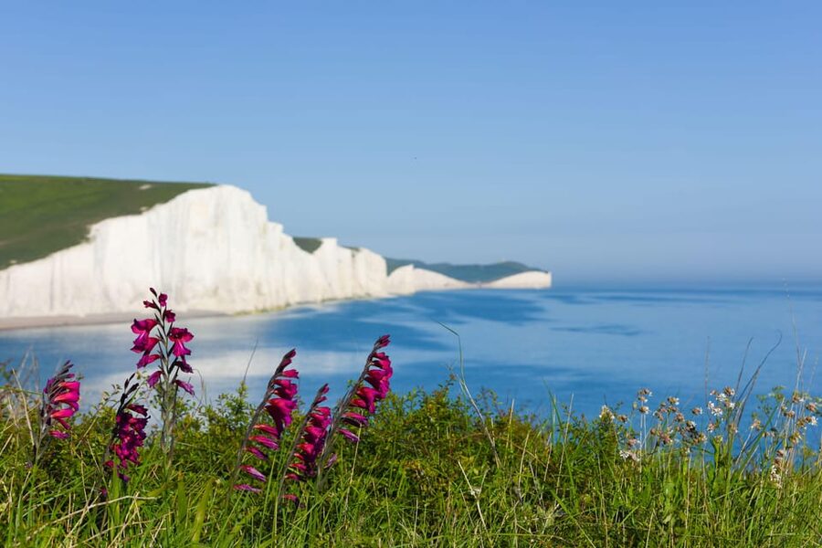 From London: Seven Sisters and Brighton Full-Day Tour - Entering the Seven Sisters: Birling Gap and Seaford Head viewpoints