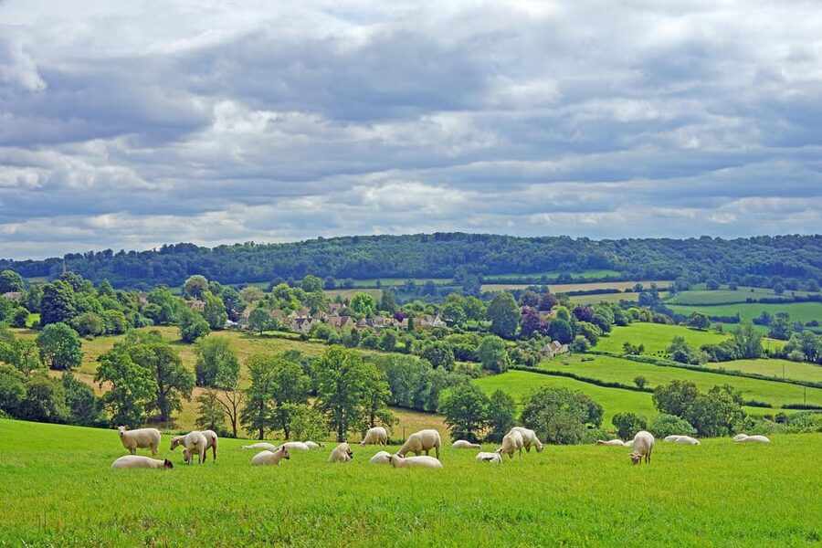 From London: Small Group Stonehenge, Bath & Cotswolds Tour - The Cotswolds backroads drive: what you get between the big stops