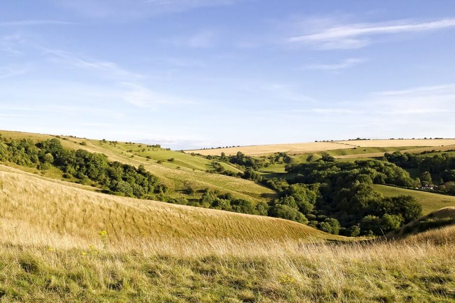 From London: Stonehenge and Bath Day Trip with Ticket - Coach Comfort and Timing: What an 11-Hour Day Feels Like