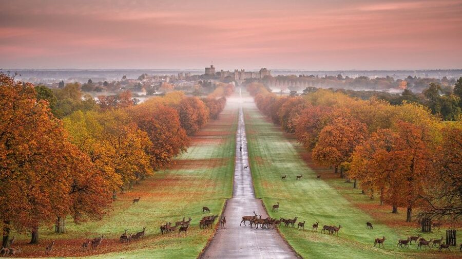From London: Stonehenge, Windsor and Salisbury Guided Tour - Who this tour suits best
