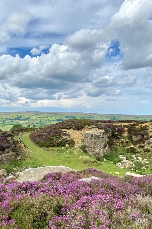 From London: The North York Moors with Steam Train to Whitby - A Long Day of Moors and Steam to Whitby