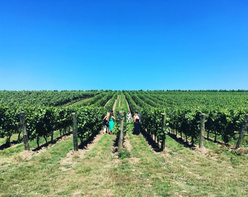 From London: Vintage Bus Wine Tour with Return Train Tickets - Who Should Book This Wine Bus Tour (and Who Might Skip It)