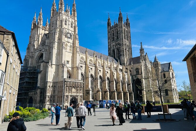 From London White Cliffs of Dover and Canterbury Private Day Trip - Driver Tips and Comfort Details That Actually Affect Your Day