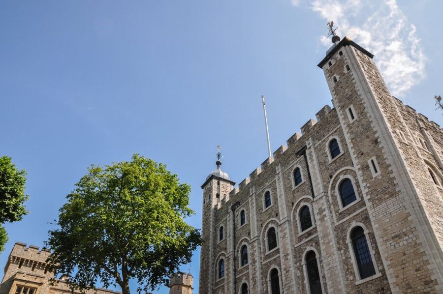 Full-Day London Experience: Tower, St. Pauls, Cruise & Guard - Price and value: why $139 can make sense
