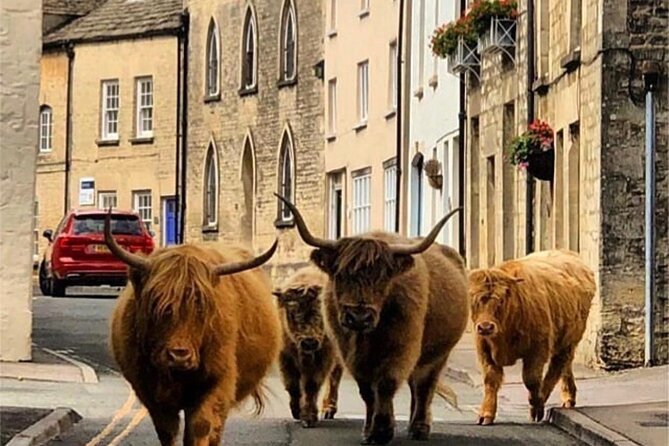 Full-Day Windsor Castle & Cotswolds Driving Tour - Who this tour fits best (and who should think twice)