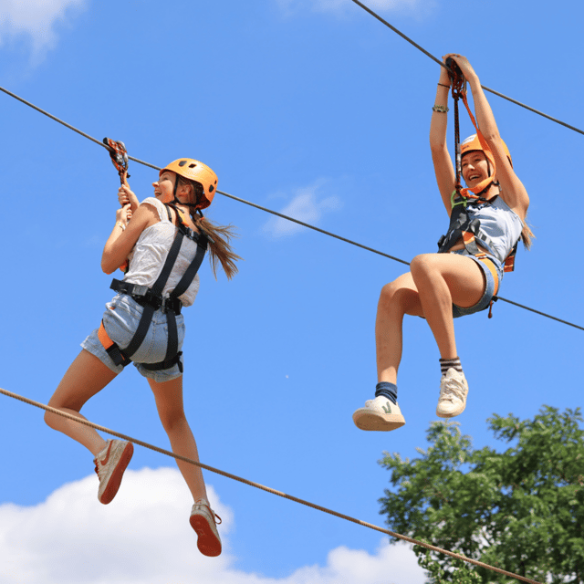 Gripped London: Zip Line, High Ropes & Freefall Adventure - High Ropes in the Treetops: Balance, Reach, and Confidence