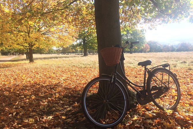 Hampton Court Palace Grounds Bike Tour - Morning vs afternoon departures: how to pick your timing