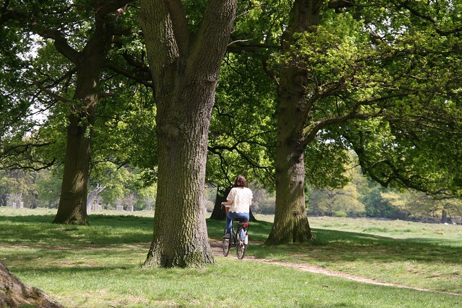 Hampton Court Palace Grounds Bike Tour - Price and value: is $55.12 worth it?