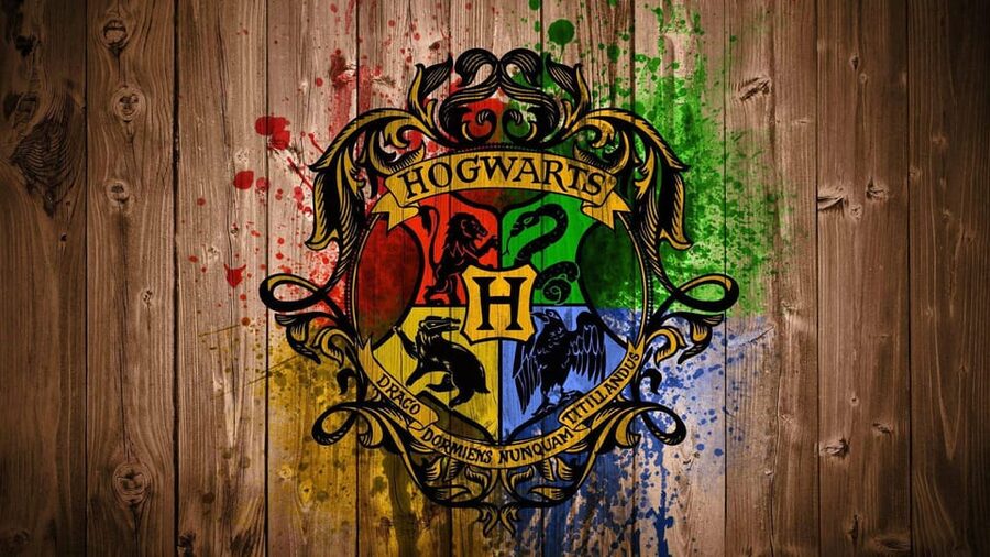 Harry Potter Private Tour of London in Spanish - Guide names you might hear about (Nicolás and Camila)