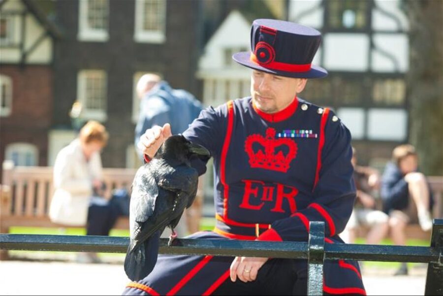 Hop on Hop off London Bus Tour & Tower of London - How the Red, Blue, and Orange Routes Work in Real Life