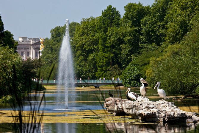 Inside Buckingham Palace State Rooms & Royal London Walking Tour - Price and Value: What You’re Really Paying For