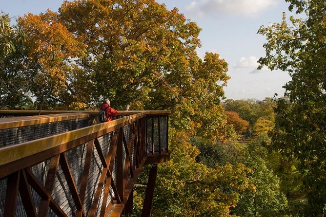 Kew Gardens Entrance Ticket - Key Kew Gardens Moments Worth Prioritizing