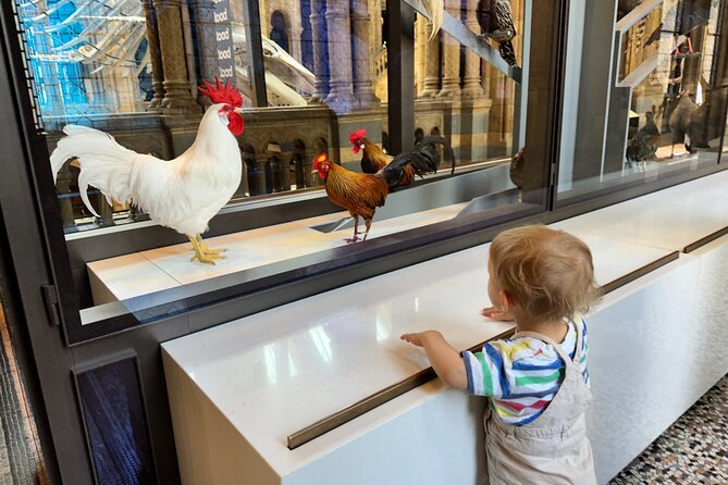 Kid-Friendly Natural History Museum & Dinosaurs Private Guided Tour in London - Dinosaur Gallery: T-Rex first, because kids usually need it now