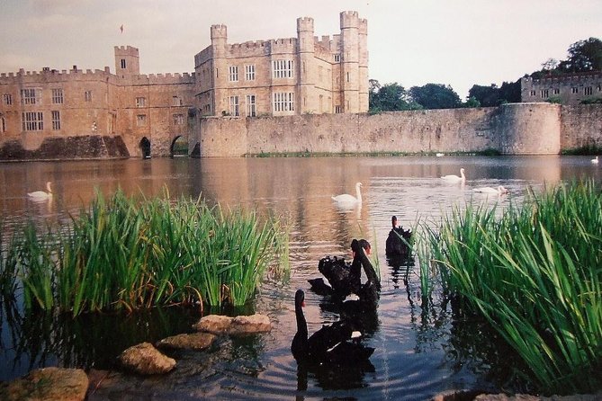 Leeds Castle, Canterbury and White Cliffs of Dover - Driver Guide - Should you book this Leeds Castle, Canterbury, and Dover private tour?