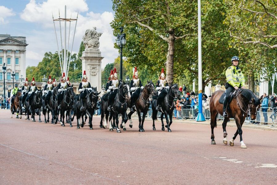 London: Changing of The Guard Tour - Buckingham Palace Finish: You Won’t Be at the Forecourt, and That’s OK