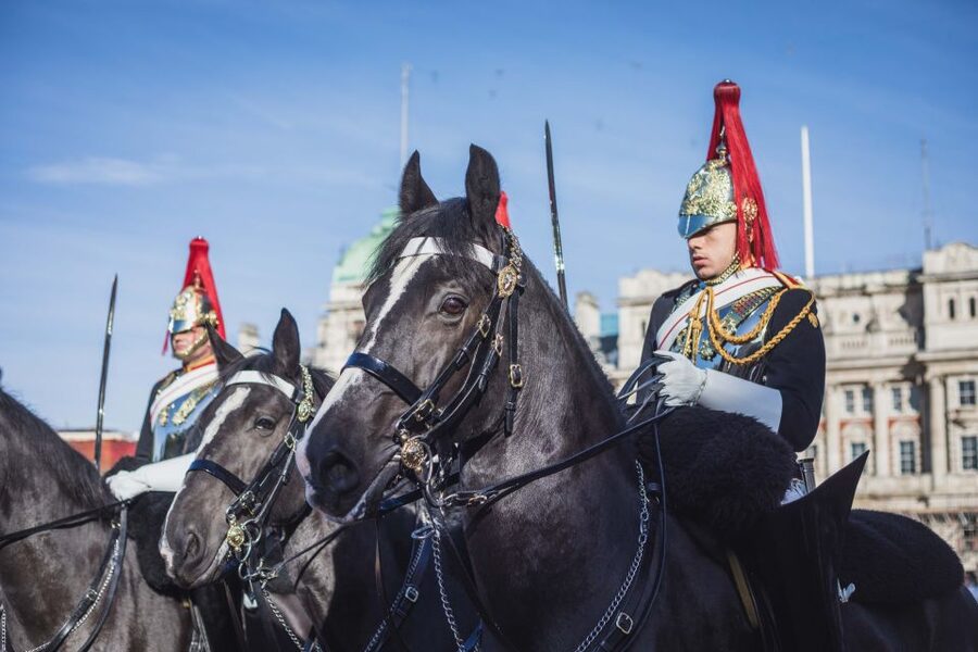 London: Changing of the Guard Walking Tour - Marching to the band: what you’ll actually experience in 2 hours
