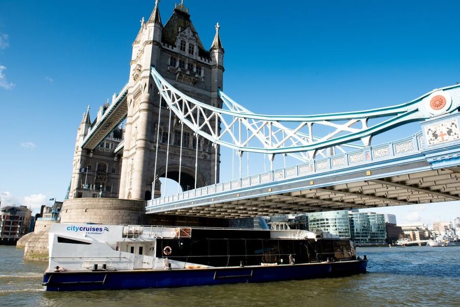 London: Christmas Day Sightseeing Cruise - Getting Started at Westminster Millennium Pier Without Stress
