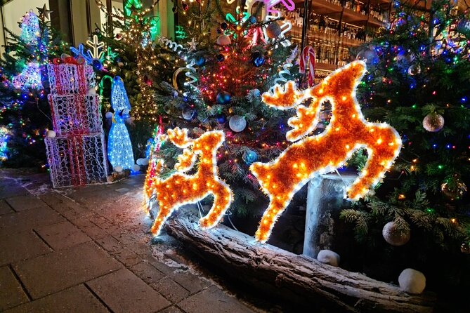 London Christmas Lights Bike Tour with Local Guide - Practical Tips for a Better Ride Through the Lights