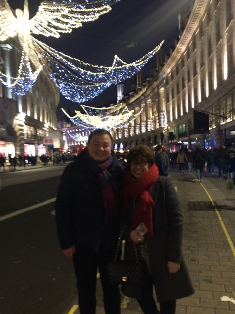 London: Christmas Lights Tour in a Black Cab - Seeing Major Buildings Illuminated After Dark