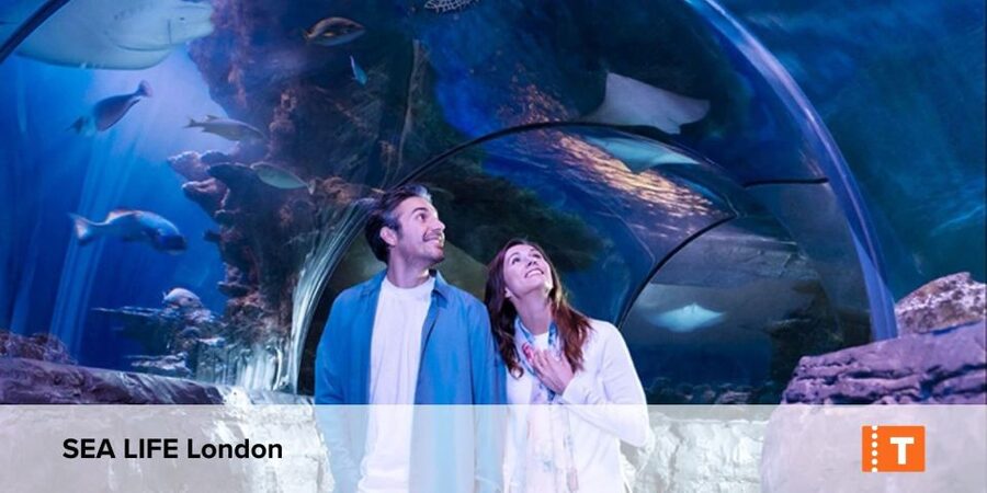 London City pass: Top attractions, Hop on Hop off & tours - What You Really Get: 18+ Sights Plus Two 24-Hour Views