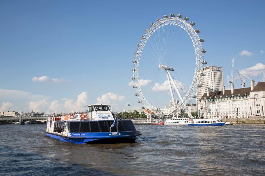 London: City Tour with River Cruise & London Eye - Thames River Cruise: a calmer view of Parliament and the waterfront