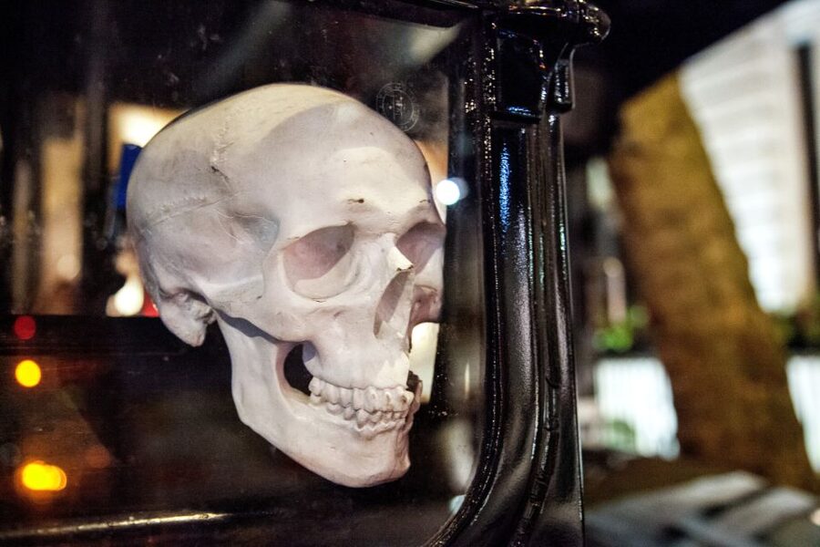 London: Comedy Horror Ghost Tour on a Bus - Getting on the Necrobus near Trafalgar Square